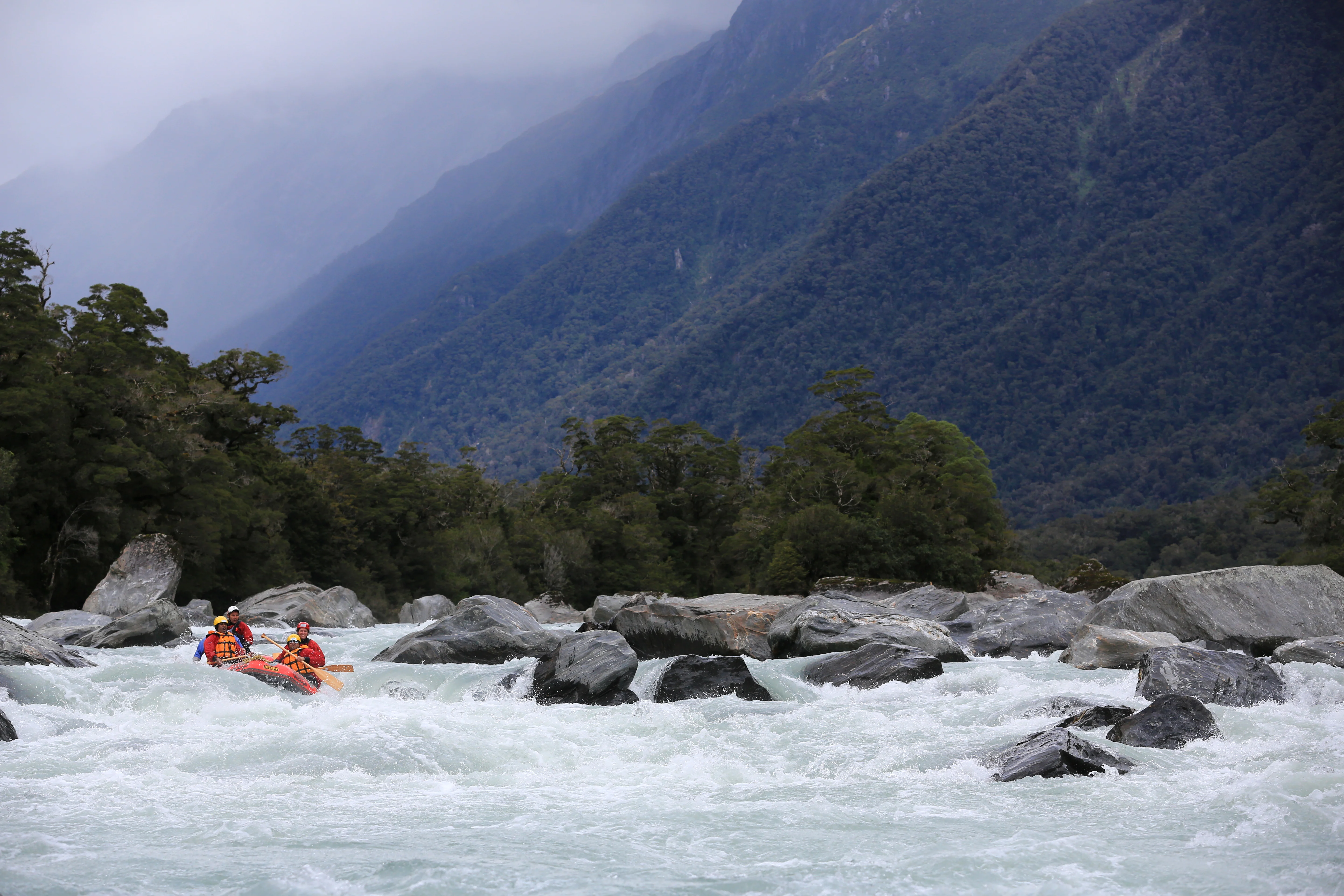 Pure Adrenalin