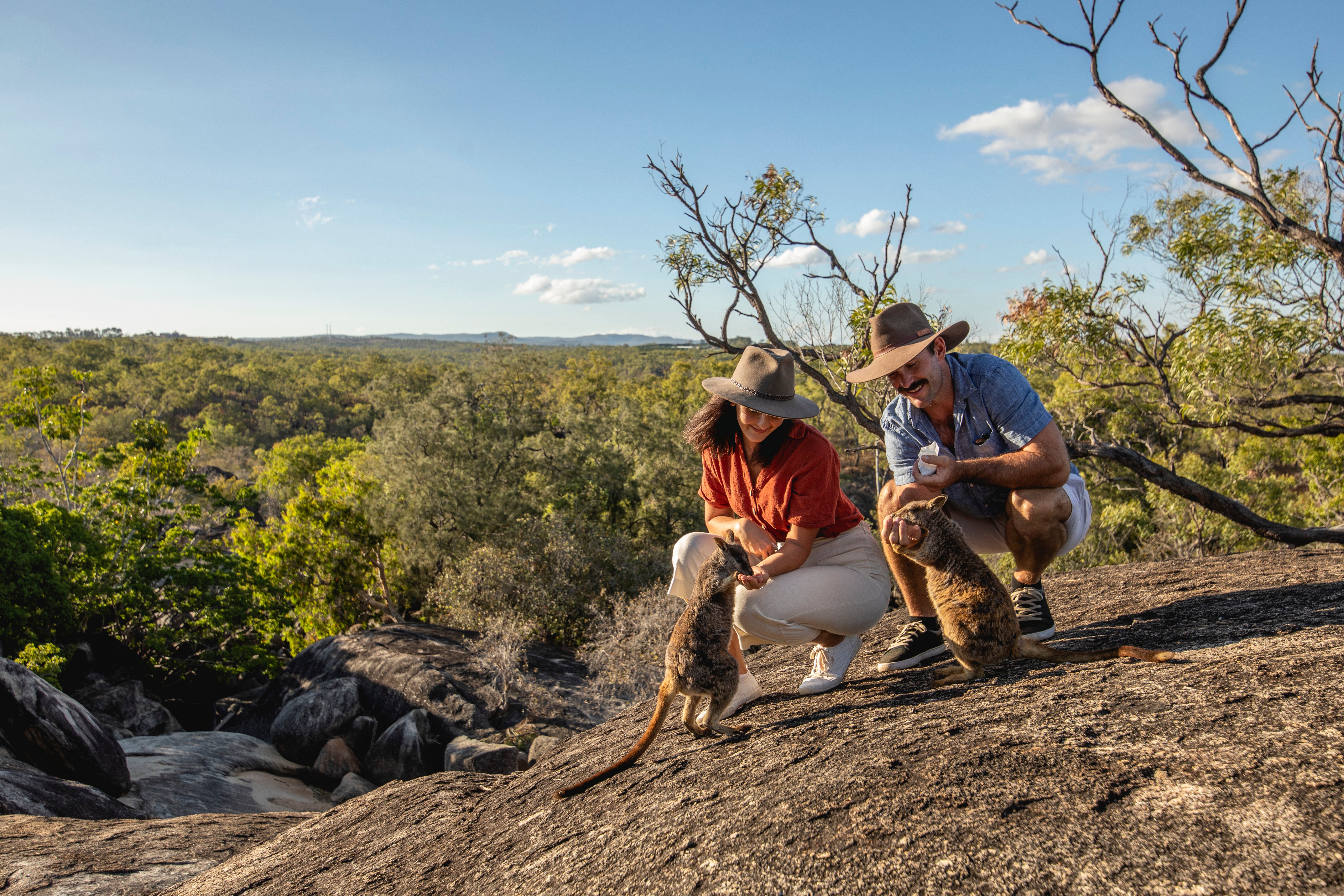 Luxury tent in the outback